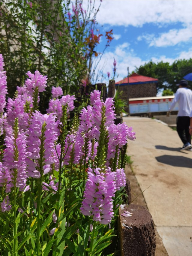 济南到荣成三日游路线规划,济南至荣成高铁时刻表