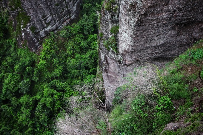 梅州采茶,梅州采茶体验
