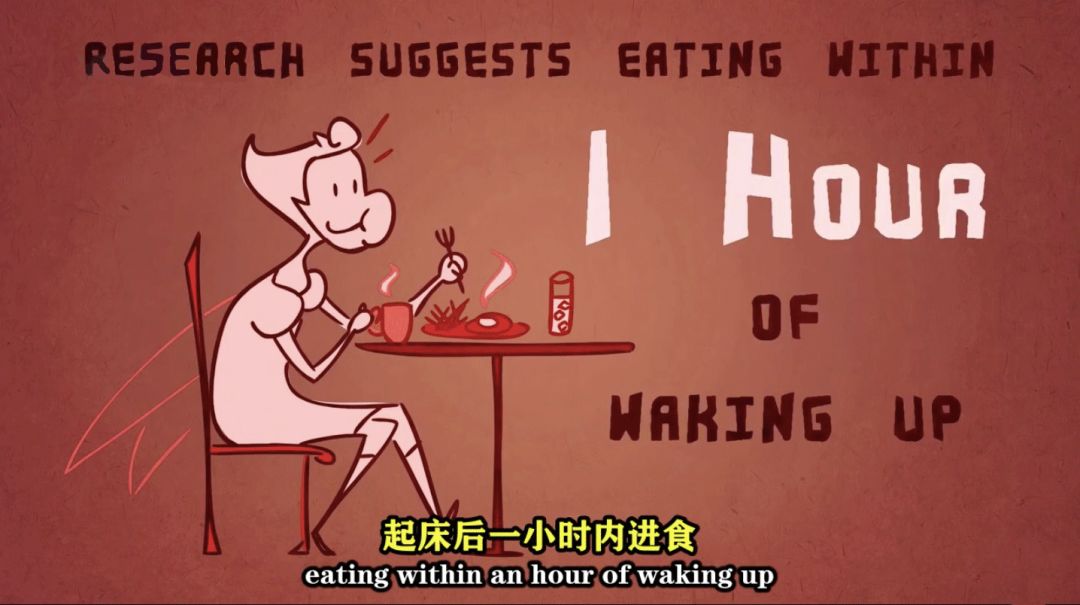 脱发为什么会丑,原来你的头发是这样长出来的