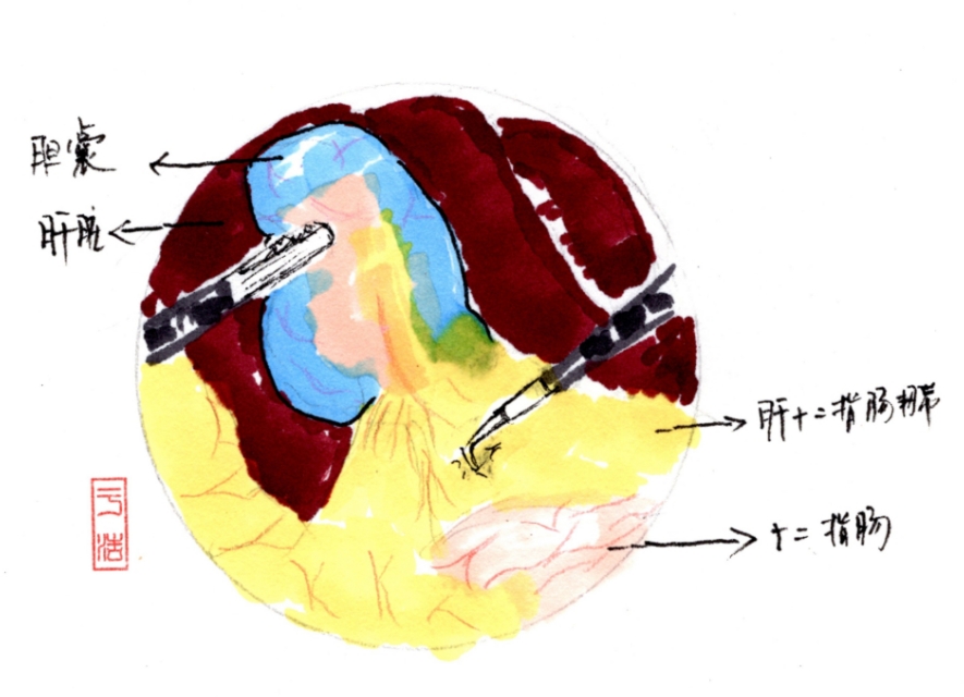 舍利子是什么意思,舍利子背后的故事