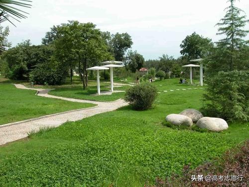 冷门的农林类大学，薪资待遇比不过热门行业，但就业还不错