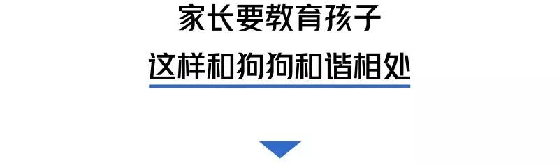 被猫狗咬伤如何正确处理,被猫狗咬伤十天了还能打针吗