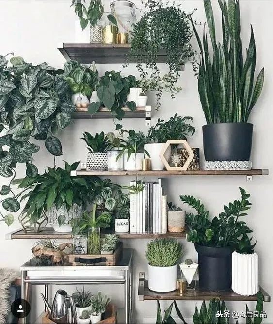 怎样弄一个简单的花园,如何在家打造一个花园