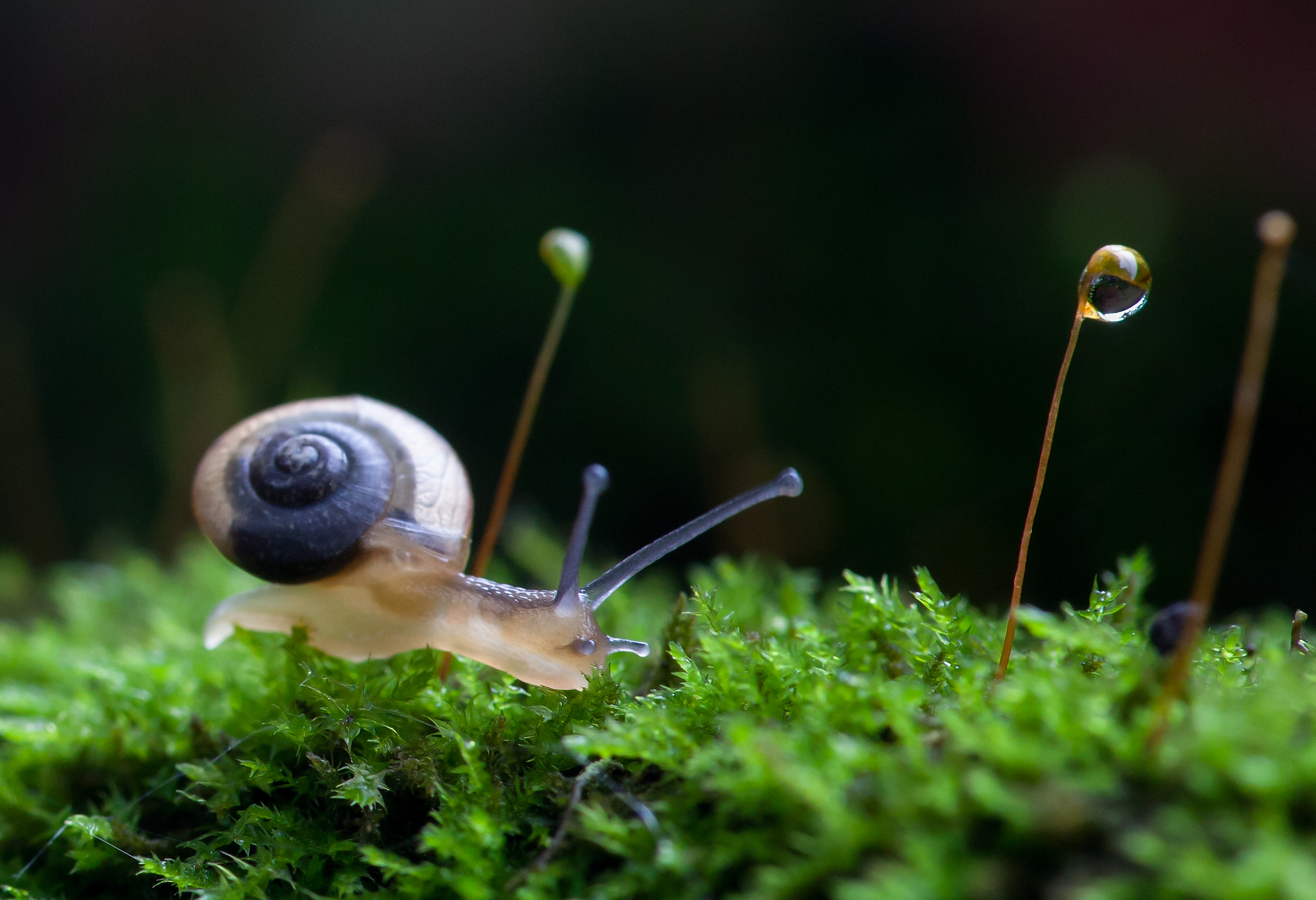 消灭害虫的100种方法,怎么消灭害虫最好的方法