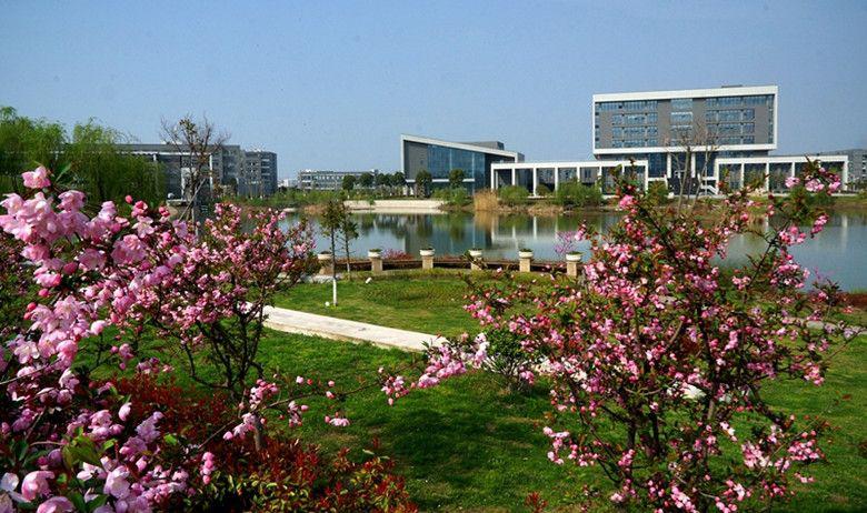 每天带你了解更多知识,每天带你认识一个医学专业