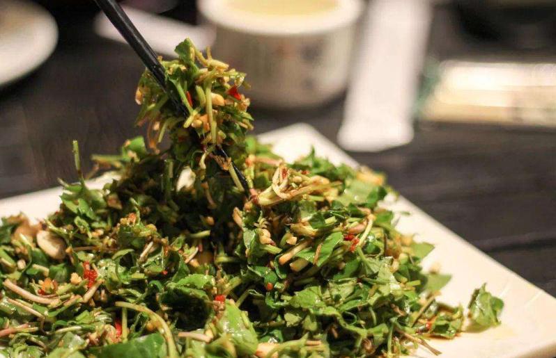 云南傣族野菜蘸水配方,野菜怎么做好吃法大全视频