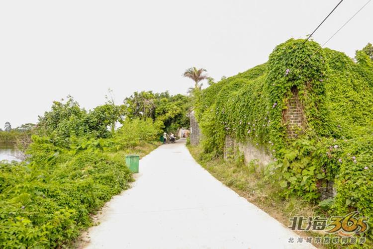 高德往事:重返旧时光,探索李桃栏深院大宅不为人知的过往