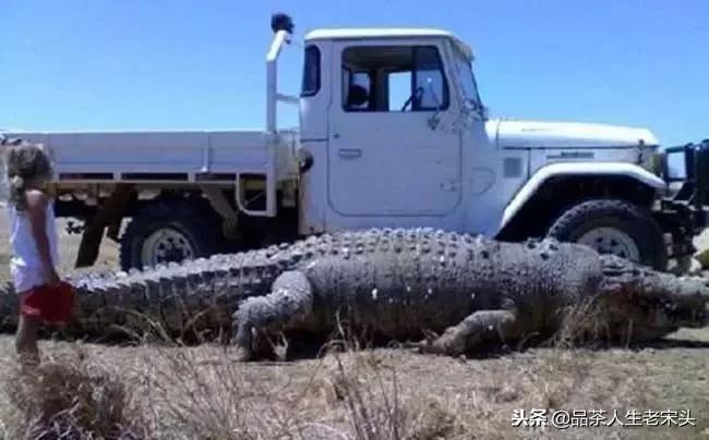 最新世界十大“怪”，最后一个太绝了！