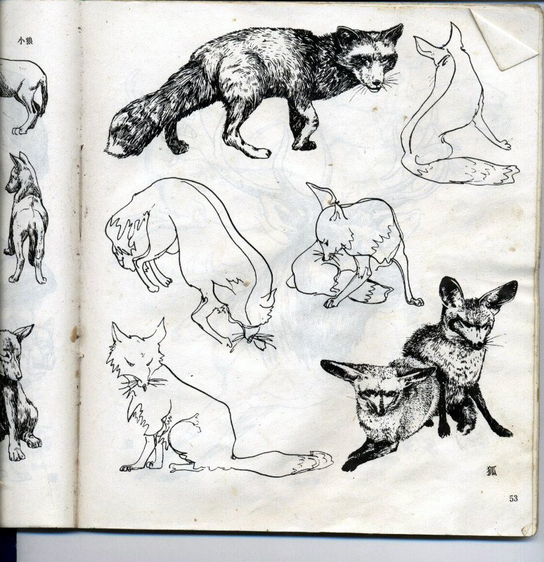 一百幅动物素描,近百幅动物画