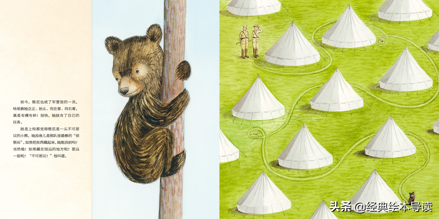 一只世界著名小熊的真实故事——《寻找维尼》导读