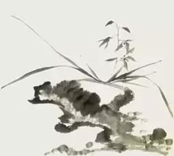 兰花的画法国画,兰花的画法步骤动画