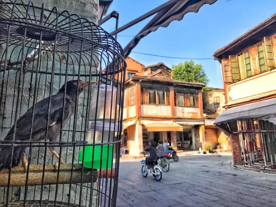 厦门精绝古城,离厦门1.8公里的地方