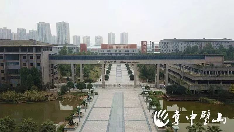 璧山东林智慧学校地址,璧山东林智慧学校是公立学校吗