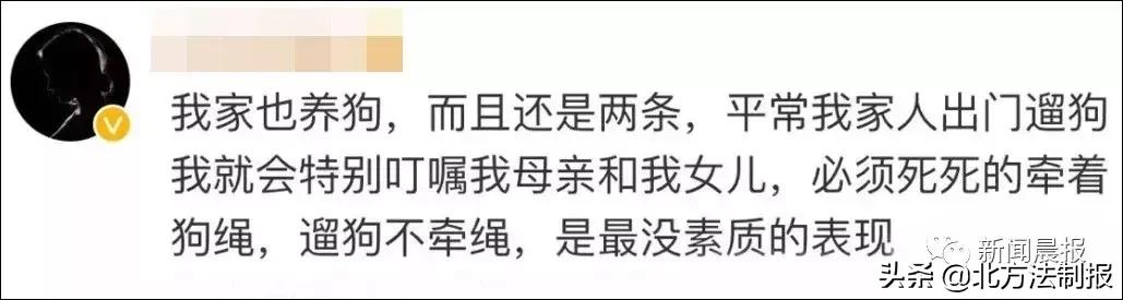 女子遛3只狗不牵绳！湖北男子遭狗撕咬*体下**受伤严重，缝了30多针