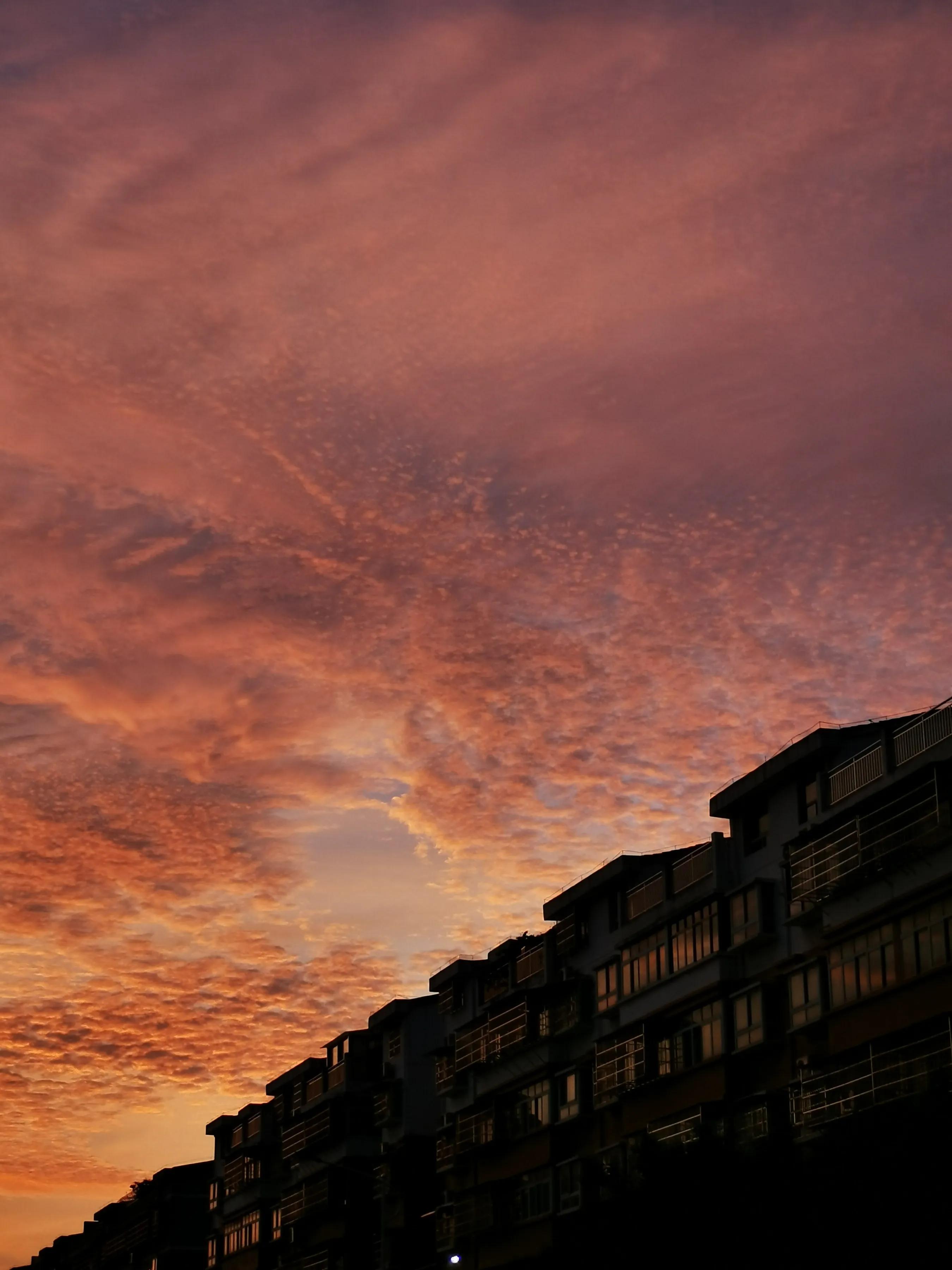 手机摄影手册圈友作品选第5期,手拍世界摄影交流平台