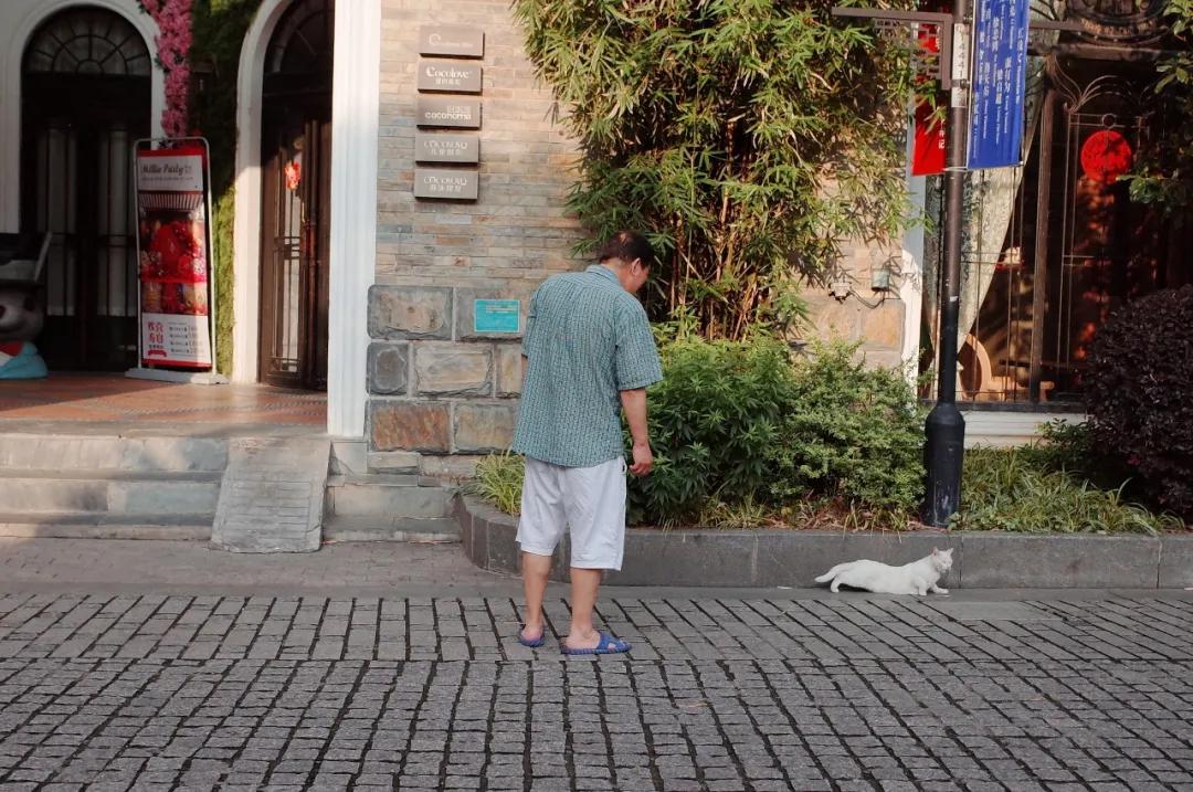 我不许你只是路过上海虹口