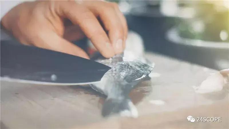 马尔代夫最美度假旅游岛酒店,马尔代夫娇丽酒店价格