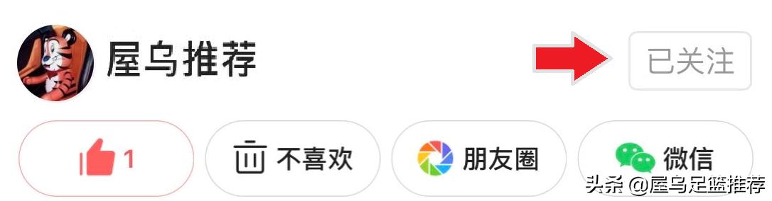 今天的胜负彩南安普顿比赛分析,英超纽卡斯尔vs南安普顿比分预测