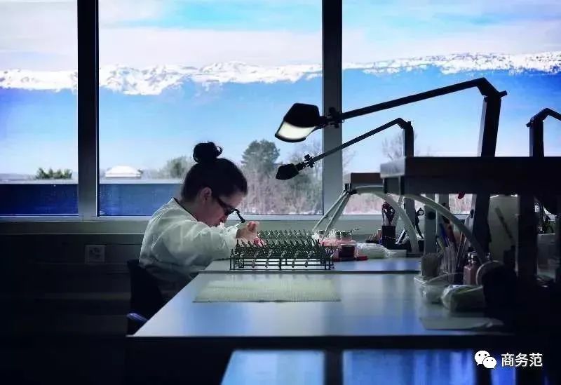 现在大家还买奢侈品吗,为什么现在大家喜欢买奢侈品