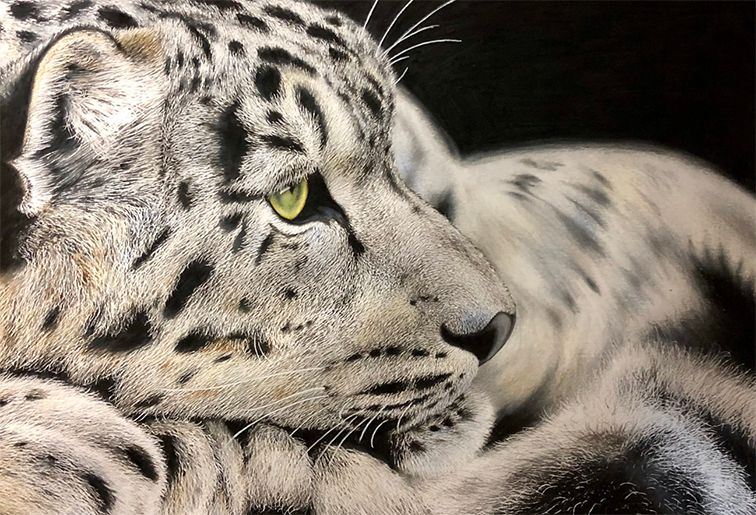 失明女孩铅笔画,保护视力守护心灵素描画