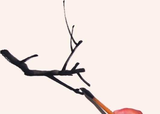 国画花枝穿插技巧图解,国画花枝的简单教程