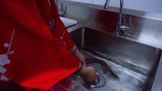 张柏芝日本游,张柏芝日本旅游