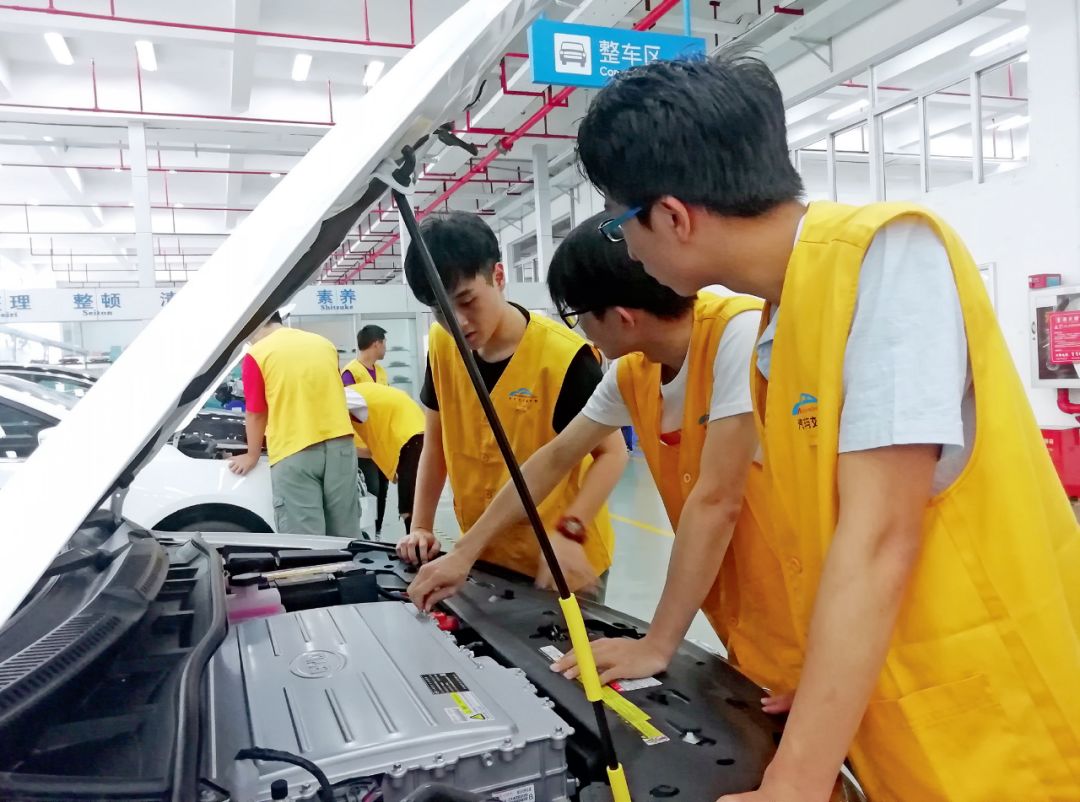 深圳职业技术大学高职本科,深圳职业技术学院有没有高职