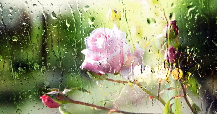 文坛是指什么界,文坛的解释