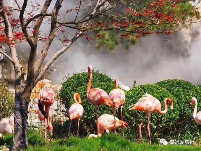 齐河附近带孩子自驾游景点,周边亲子游齐河