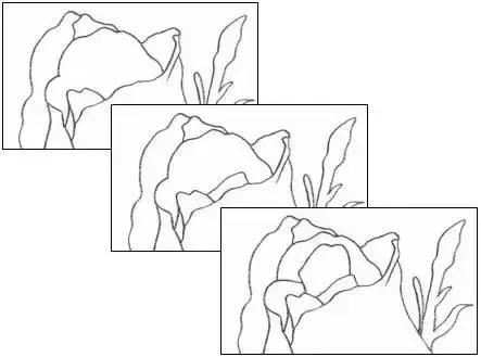 鐜懓绱犳弿鏁欑▼,绱犳弿鐜懓鐢绘硶鏁欑▼