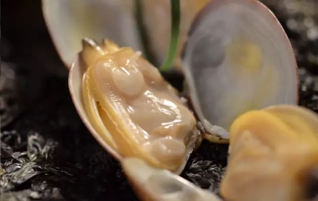 防城港市海鲜怎么挑,防城港海鲜扫货攻略附海鲜吃法