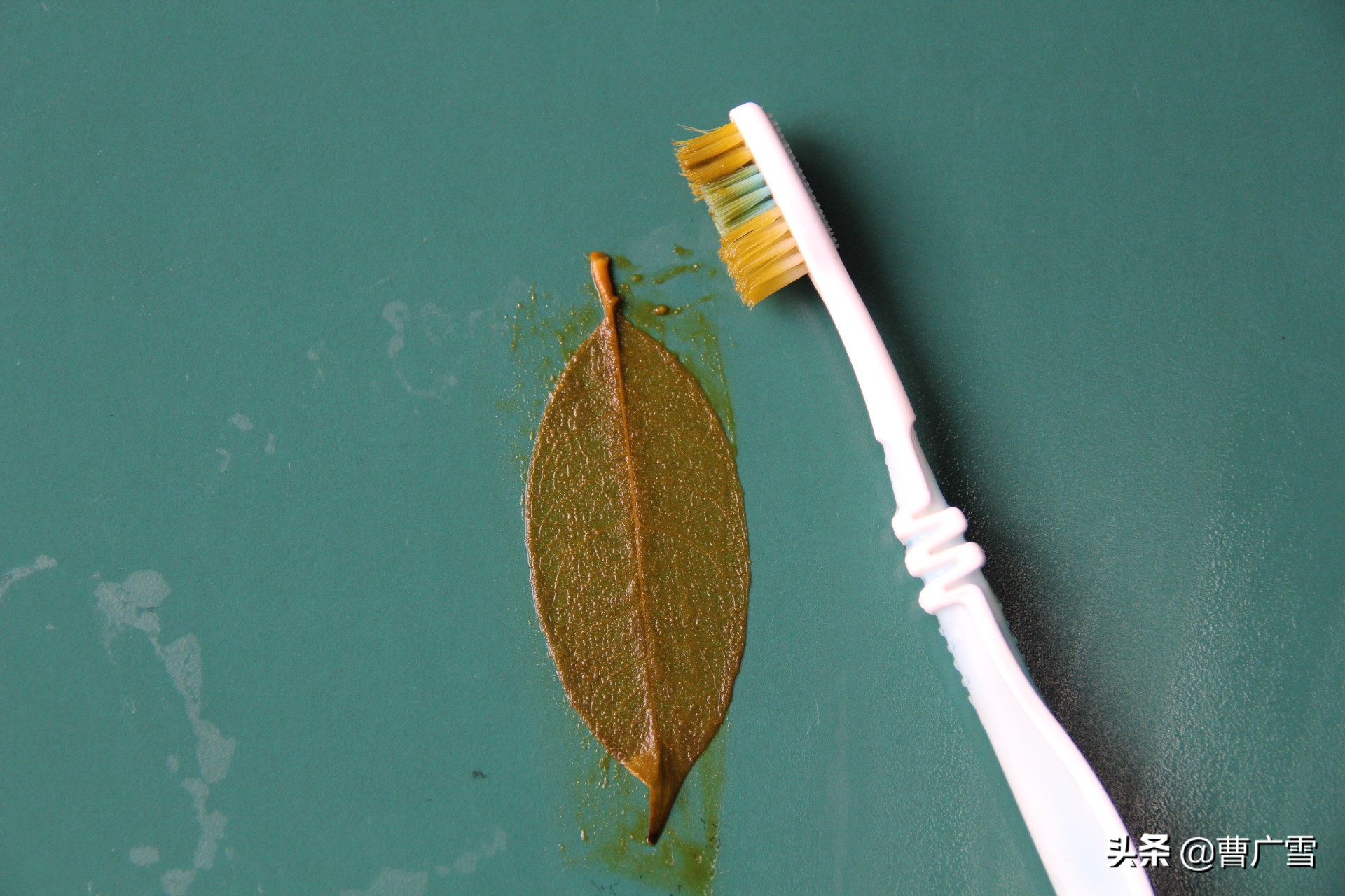 叶脉造型创意画幼儿作品,孩子喜欢的儿童创意画教程6-7岁