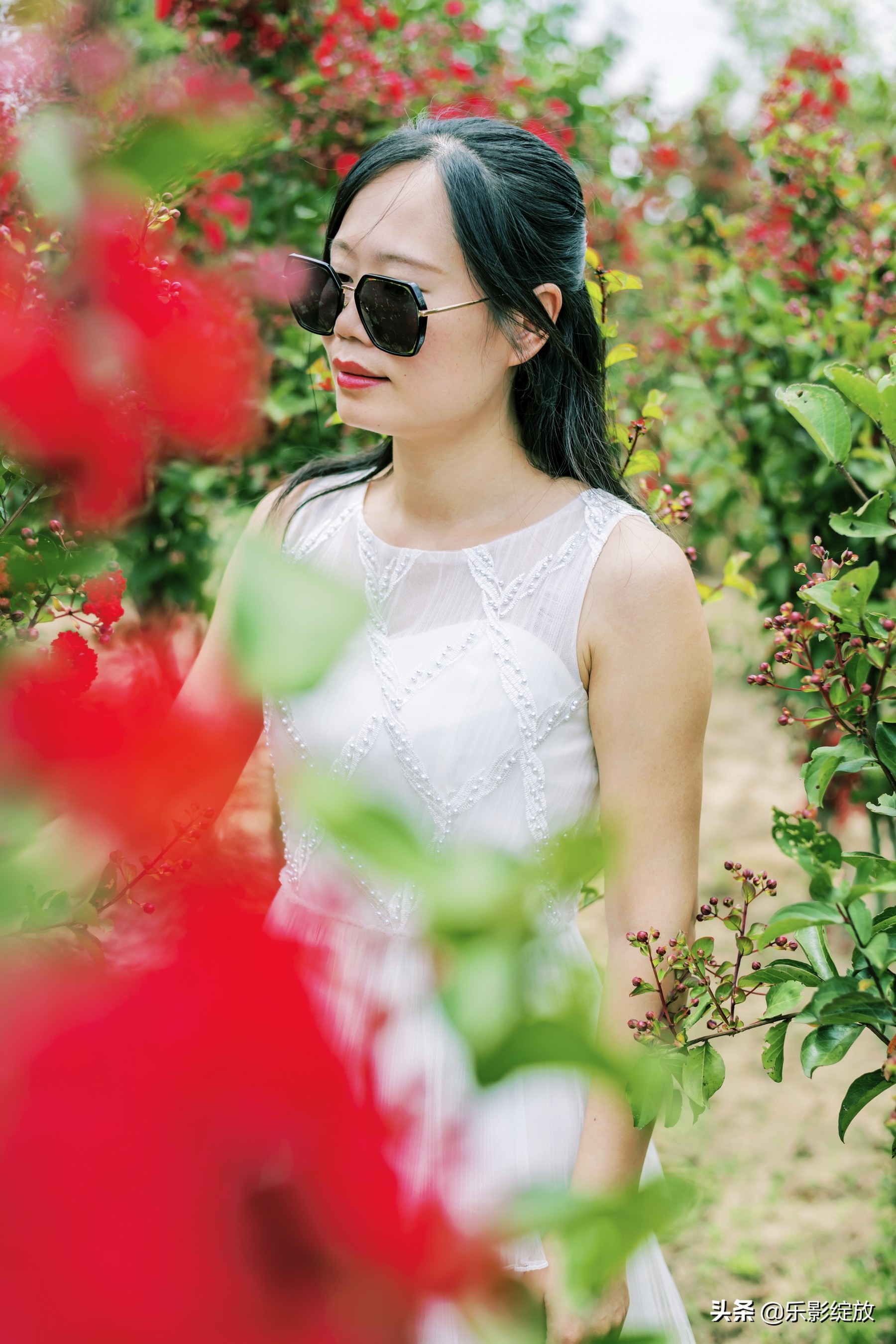 二十年相聚完整版,二十年再聚首