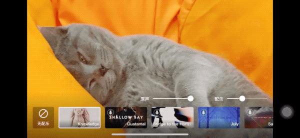 从零开始拍vlog视频教程,简单常用拍vlog的app及剪辑