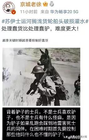 林爱玥：公知“*制抵**蠢货”的背后……