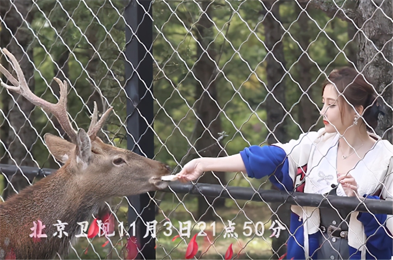 不愧冻龄女神,冯提莫上新节目挑战萝莉裙,网友:还好她腿够细