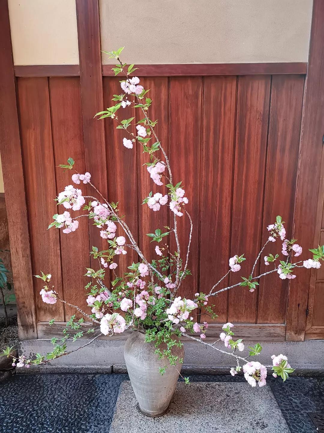 「慢达世界」第216期：短暂停留的京都生活，柊家的待客之道