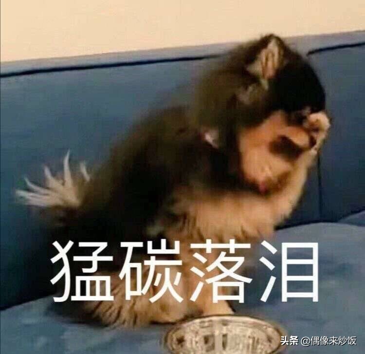 金泰亨中国粉丝计划,震惊韩圈的中国粉丝