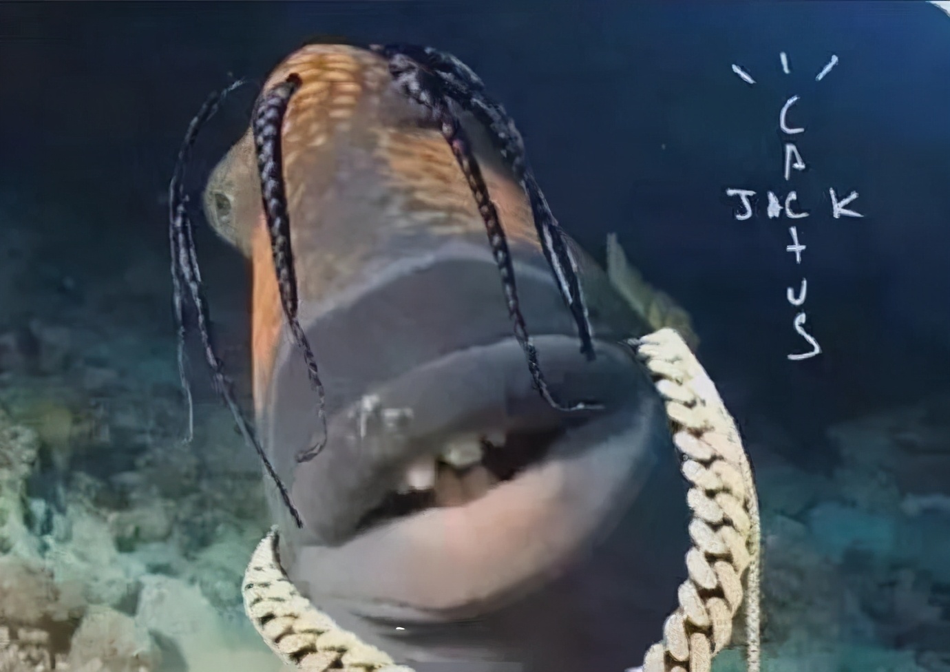 倒钩藤原浩联名dunk价格,藤原浩倒钩lv联名款