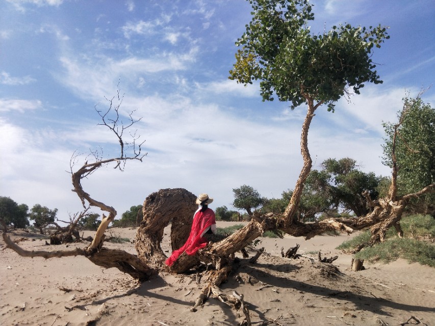 内蒙人嗓音为什么这么浑厚,内蒙人的温柔