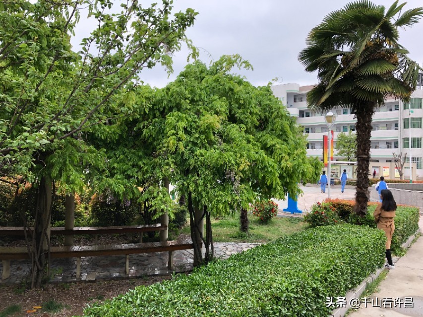 许昌市第一中学平面图,河南省许昌市襄城一中