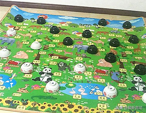 董路的足球小将到底什么水平,董路的足球小将为什么进不了职业