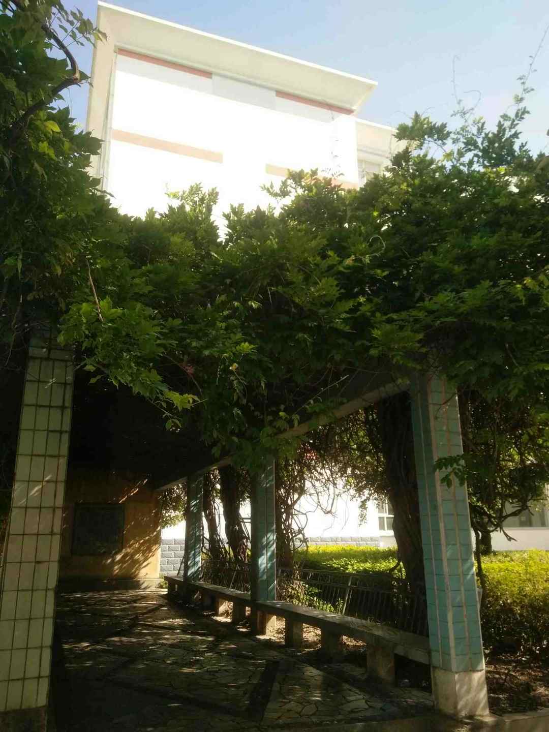 省考给了我一个回高中学校的机会---你有多久没有回去了？