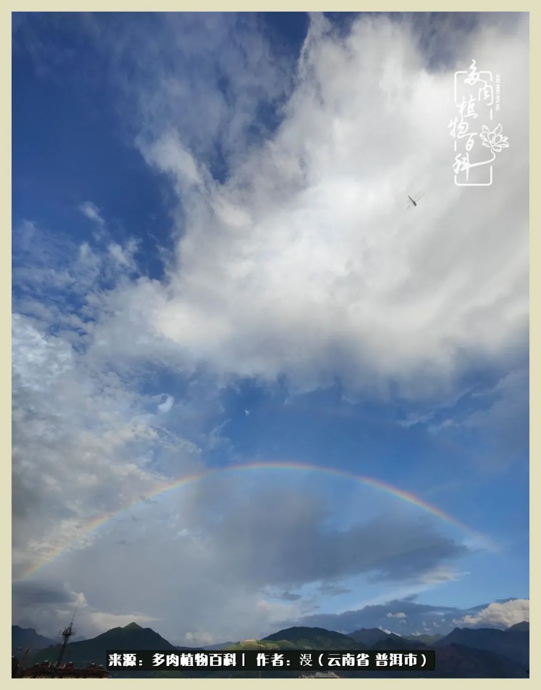 深情不及久伴,厚爱无需多言,择一“爱”,护一生