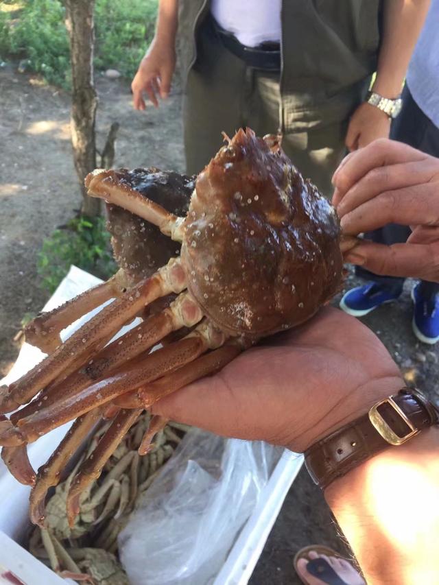 奇妙假期全集视频,奇妙假期意想不到的旅行