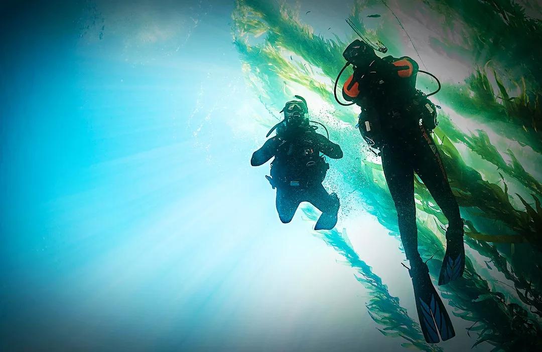 昆明出发抚仙湖一日游攻略,昆明去玉溪抚仙湖游玩攻略