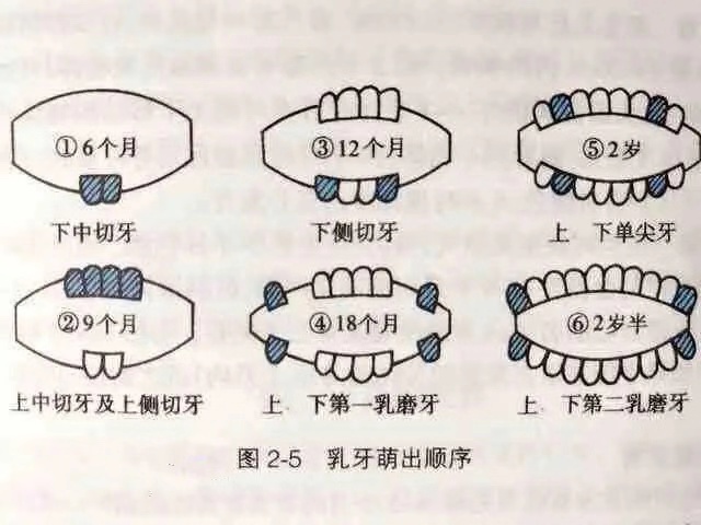 鍧忎簡涓や釜澶х墮,鍧忎簡涓ら澶х墮
