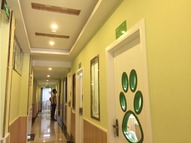 南宁二十四小时宠物医院,南宁宠物医院24小时急诊多少钱