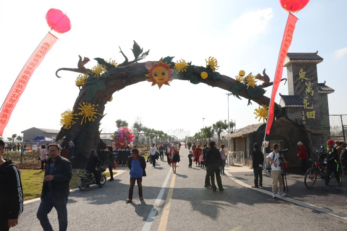 首届菊花节开幕,第三届泗阳菊花文化节