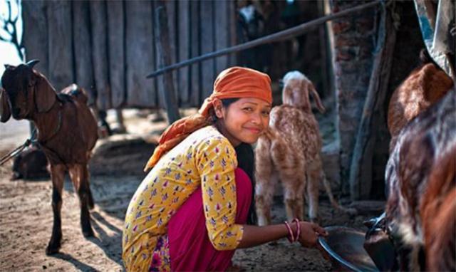 尼泊尔的一妻多夫制,尼泊尔是一妻多夫的国家吗